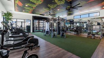 a gym with weights and cardio equipment and a mural on the ceiling at Weylyn Luxury Apartments, Laveen, AZ, 85339